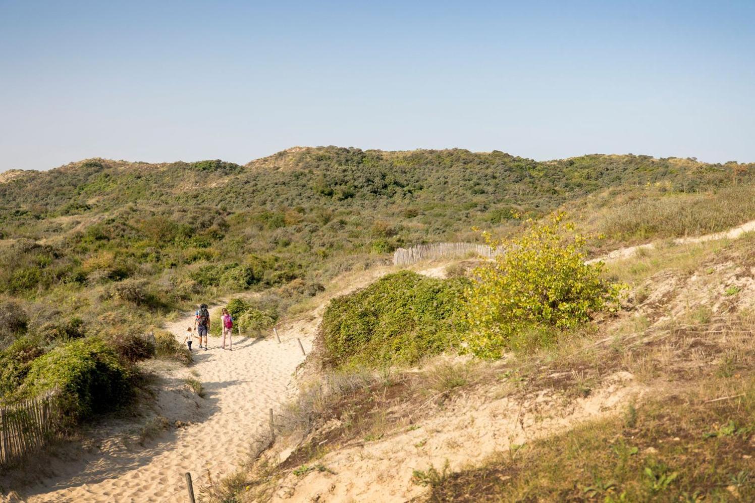 Holiday Home 'T Hof Der Witte Damen فيرن المظهر الخارجي الصورة